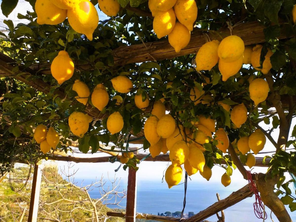Вілла Amalfi Sea View Скала Екстер'єр фото